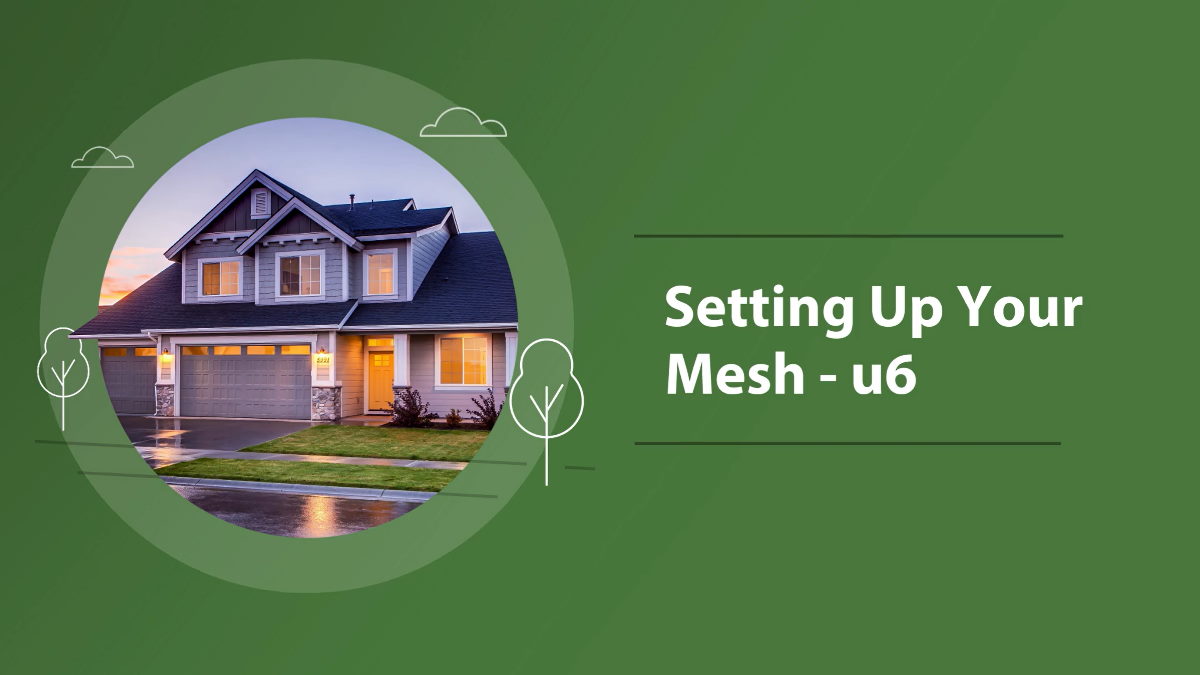 Setting Up Your Mesh